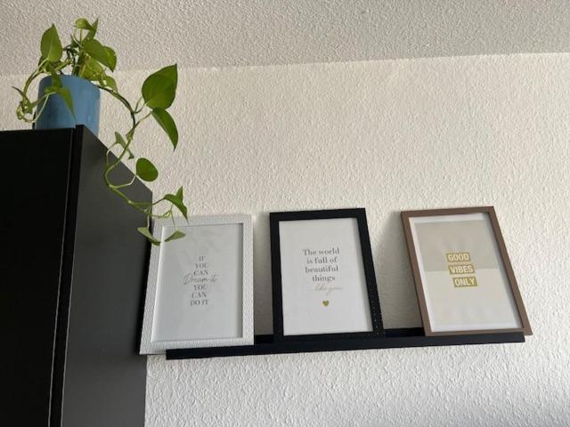 Cosy Rent Strasbourg Orangerie Tv Wifi Cathedrale Apartment Екстериор снимка